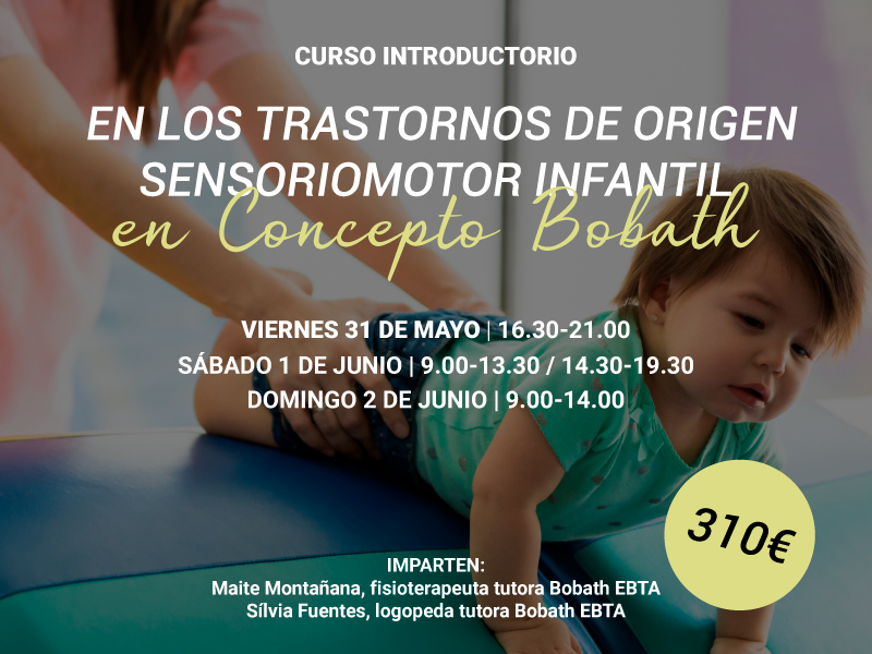 Curso trastorno sensoriomotor infantil concepto bobath